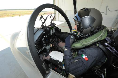 Defence Aircraft - SP M-346FA_foto6 (1)
